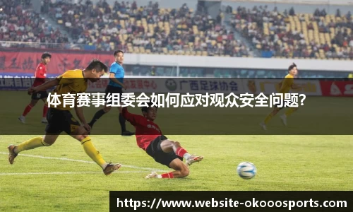 体育赛事组委会如何应对观众安全问题？